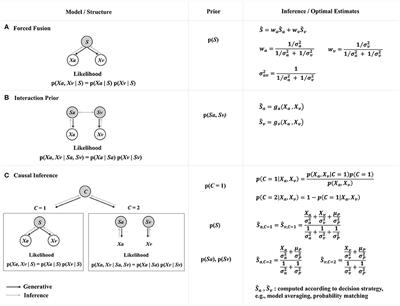 A Survey on Probabilistic Models in Human Perception and Machines